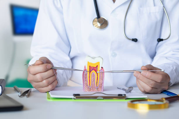 Best Emergency Dental Care for Broken or Chipped Teeth in Edgecliff Village, TX